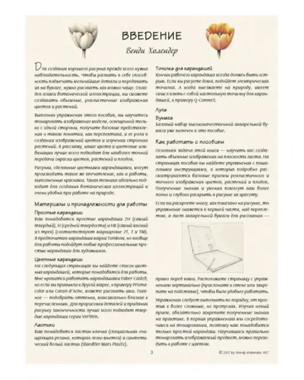 Ботаническая иллюстрация. Обучающий скетчбук