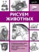 Рисуем животных