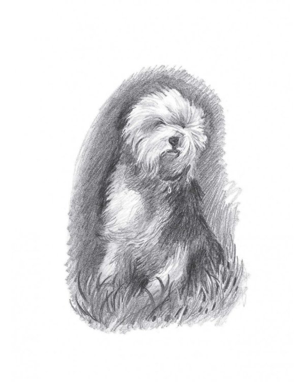 Рисуем животных