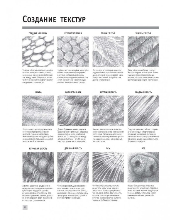 Рисуем животных