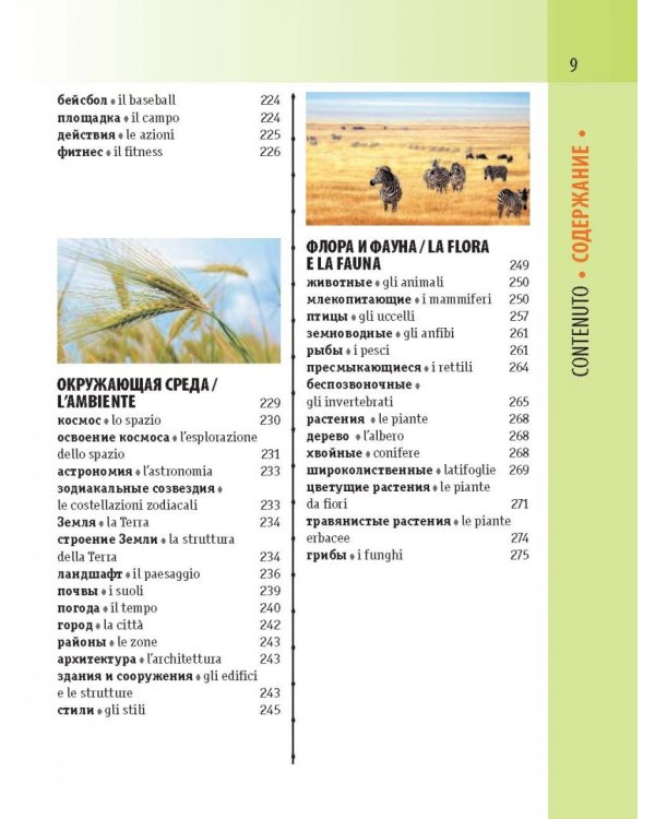 Итальянско-русский визуальный словарь с транскрипцией