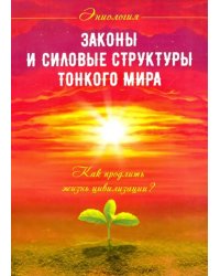 Законы и силовые структуры Тонкого мира. Как продлить жизнь цивилизации?