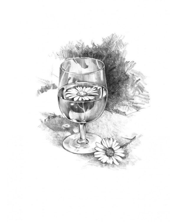 Рисуем карандашом портреты, натюрморты, пейзажи