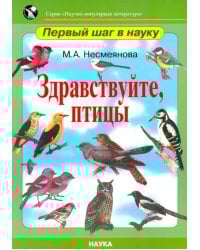 Здравствуйте, птицы