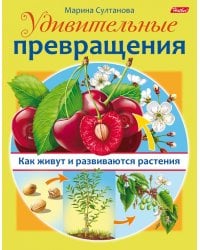 Удивительные превращения. Как живут и развиваются растения