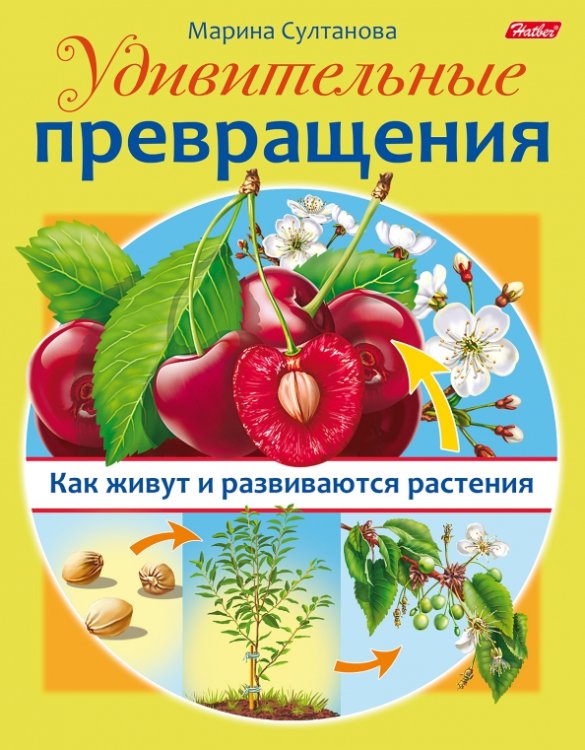 Что из чего Удивительные превращения. Как живут и развиваются растения