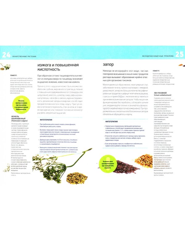 Лекарственные растения. Первая помощь природы