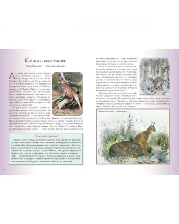 Кошки и собаки. Знакомые и неизвестные