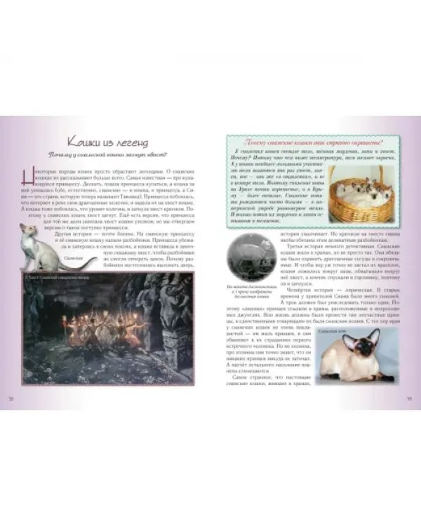 Кошки и собаки. Знакомые и неизвестные