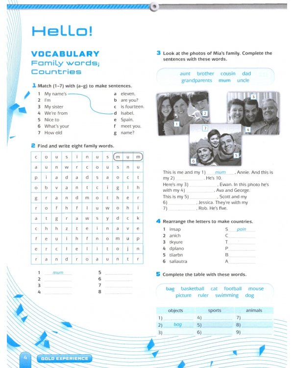 Gold Experience A1. Language and Skills Workbook