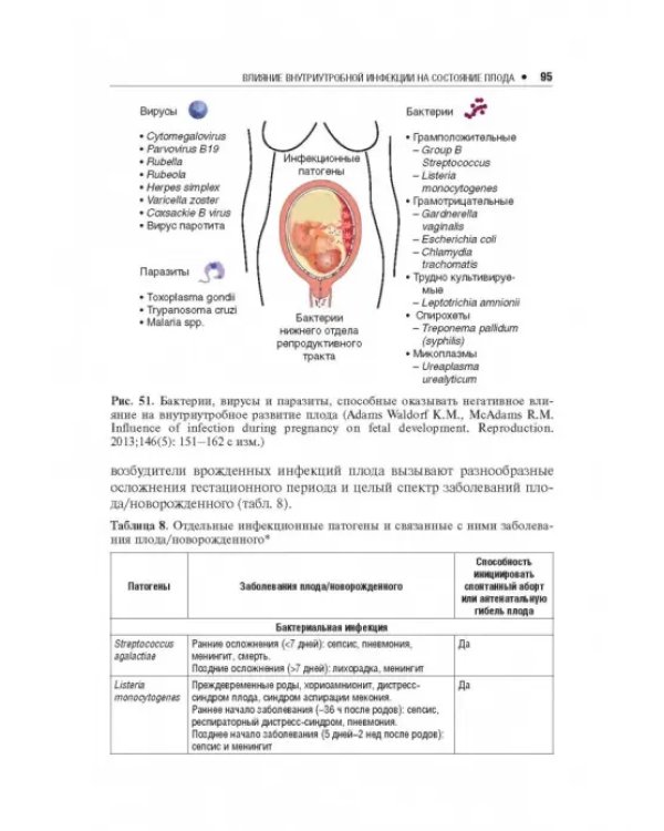 Влияние различных факторов на плод