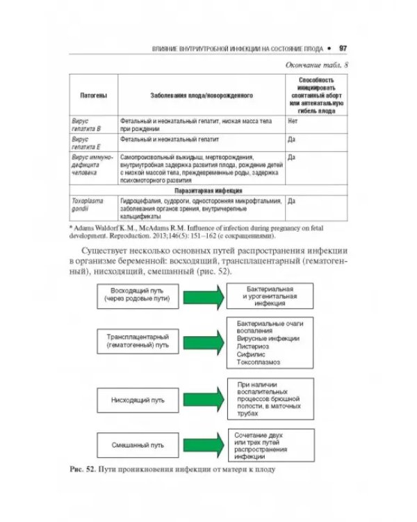 Влияние различных факторов на плод