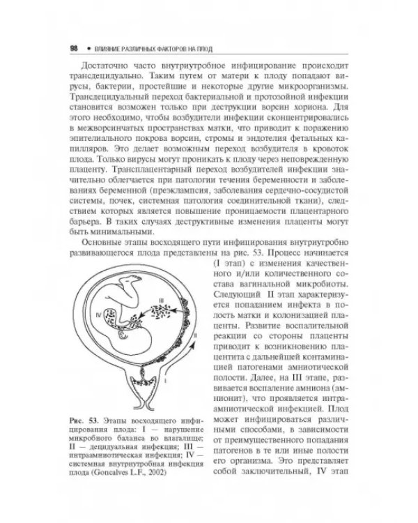 Влияние различных факторов на плод