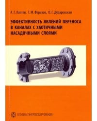 Эффективность явлений переноса в каналах с хаотичными насадочными слоями. Монография