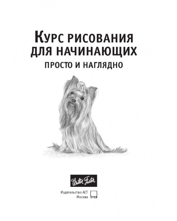 Курс рисования для начинающих. Просто и наглядно