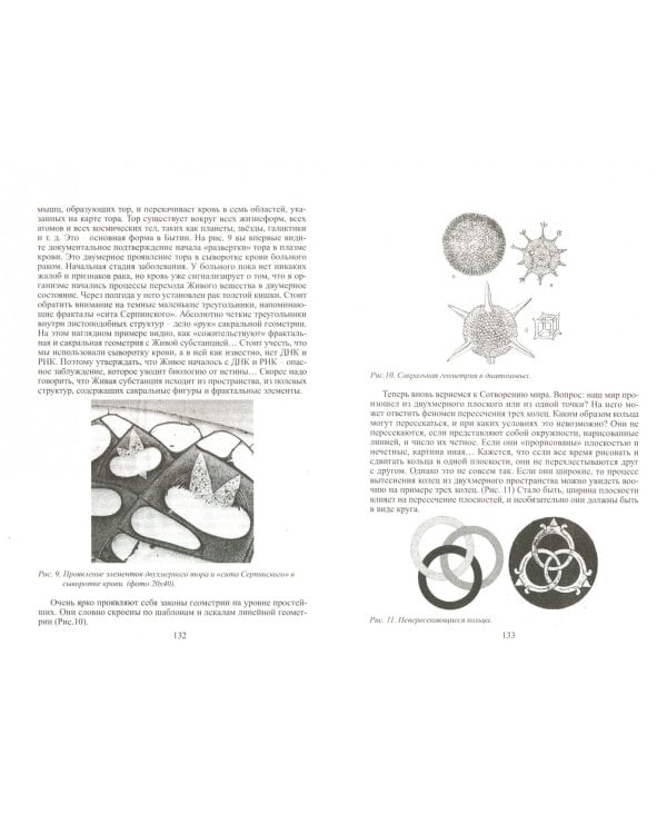 Зеркальные болезни. Рак, диабет, шизофрения, аллергия