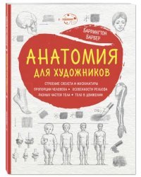 Анатомия для художников
