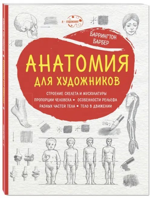 Анатомия для художников
