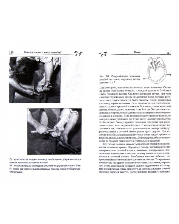 Болезни копыт и ковка лошадей. Настольная книга для вет. врачей, кузнецов-ковалей и владельцев