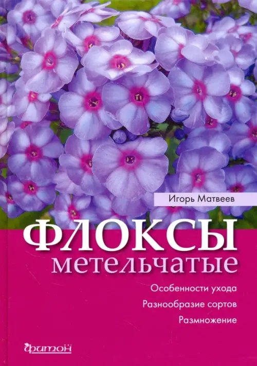 Флоксы метельчатые. Особенности ухода