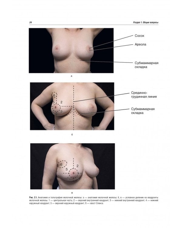 Онкопластическая хирургия молочной железы