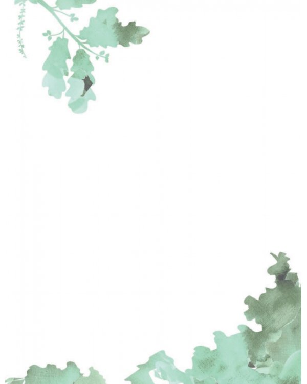 Мой первый гербарий. Цветы и листья. ФГОС