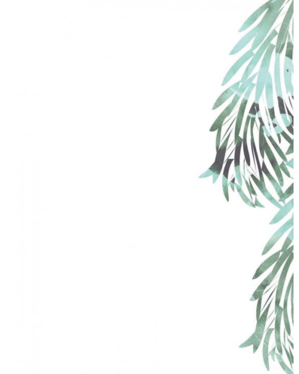 Мой первый гербарий. Цветы и листья. ФГОС