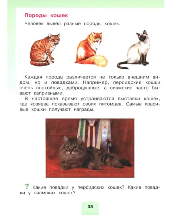 Дополнительное изображение книги «Мир природы и человека. 2 класс. Учебник. В 2-х частях. Адаптированные программы. ФГОС ОВЗ. Часть 2»