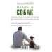 Планета собак Планета собак