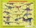 Детский пазл на подложке. Динозавры хищные