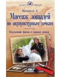 Массаж лошадей по акупунктурным точкам. Поддержание формы и здоровья лошади