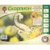Сборная деревянная модель, малая. Скорпион