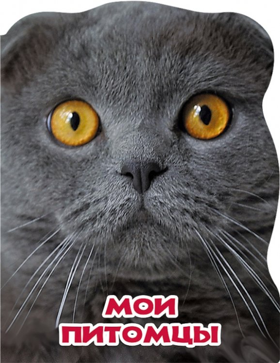 Мои питомцы
