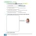 Academy Stars. Level 2. Pupil's Book Pack