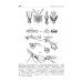 Медицинская паразитология. Учебник Медицинская паразитология. Учебник