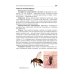 Медицинская паразитология. Учебник Медицинская паразитология. Учебник