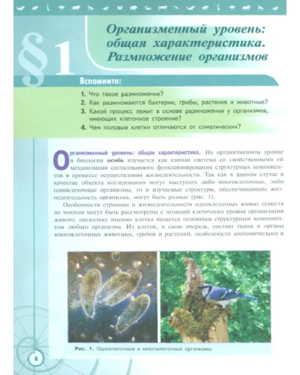 Биология. 11 класс. Учебник. Базовый уровень. ФГОС