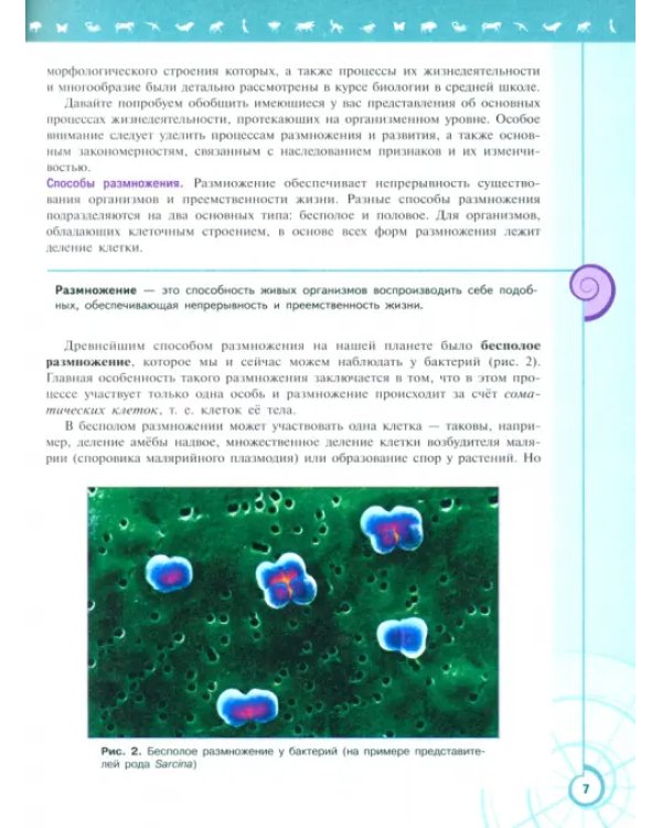 Биология. 11 класс. Учебник. Базовый уровень. ФГОС