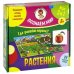 Познаем мир. Растения