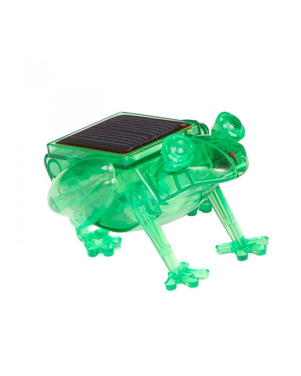 Французские опыты. Науки с Буки. Прыгающий лягушонок