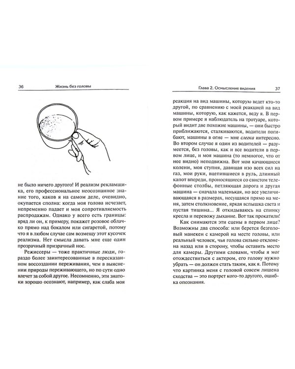 Жизнь без головы