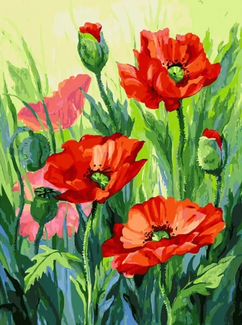 Живопись на холсте по номерам. Красные маки, 30x40 см