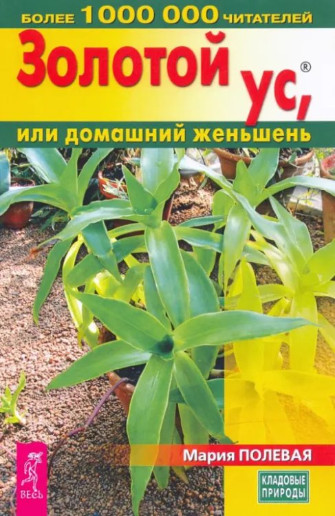 Кладовые природы Золотой ус, или домашний женьшень