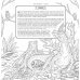 Фантастические существа. Книга-раскраска