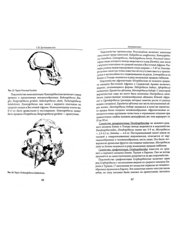 Дополнительное изображение книги «Антропогенез»