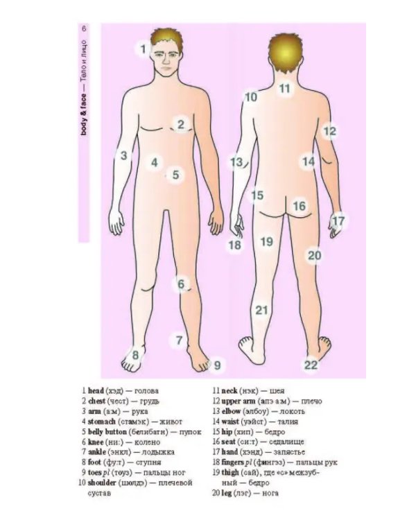 Английский язык в картинках
