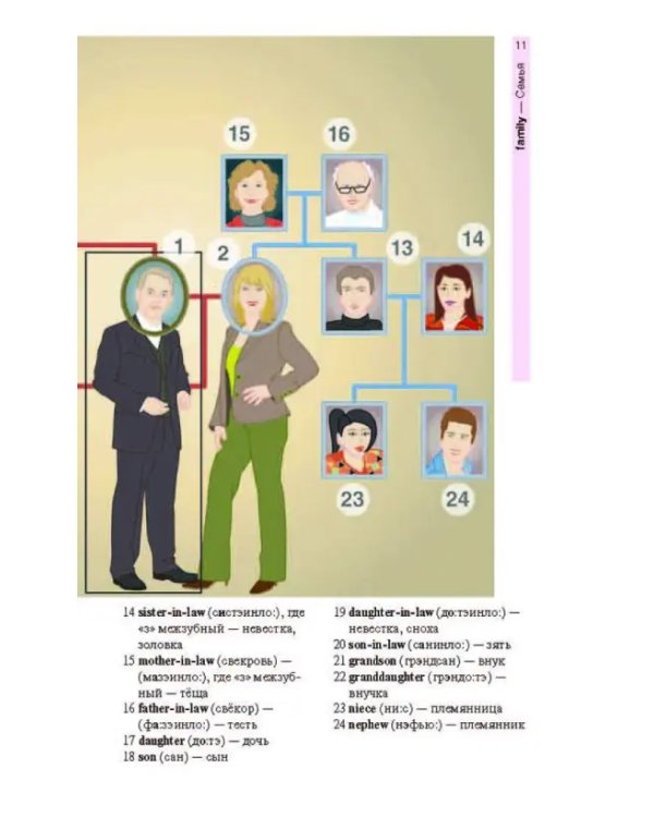 Английский язык в картинках
