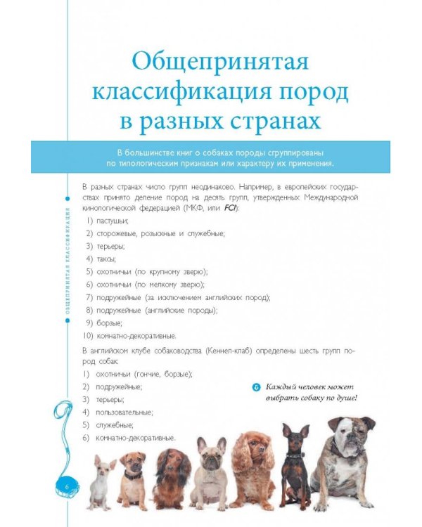 Самые популярные породы собак