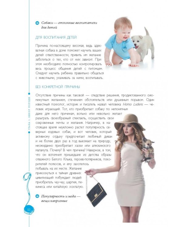 Самые популярные породы собак