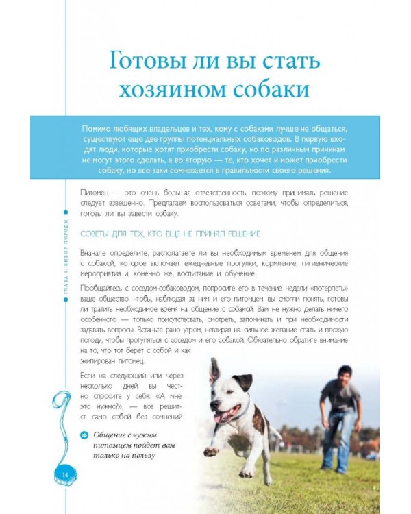 Самые популярные породы собак